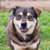 Thumbnail photo of JENNY #4