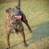 Thumbnail photo of LUCY #2