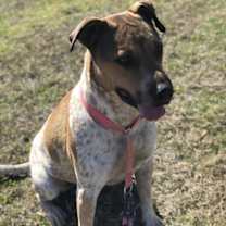 Thumbnail photo of Manny #2