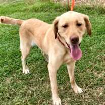 Thumbnail photo of SUNSHINE #2