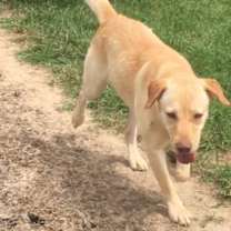 Thumbnail photo of SUNSHINE #4