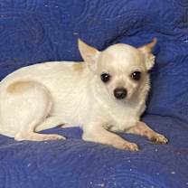 Thumbnail photo of Jose #3