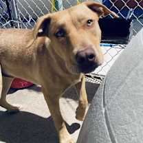 Thumbnail photo of Kane #1