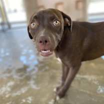 Thumbnail photo of Quinn #1