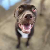 Thumbnail photo of Ivy #2