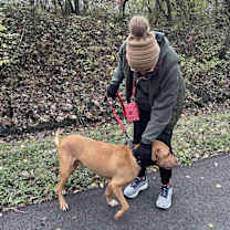 Thumbnail photo of Frank #4