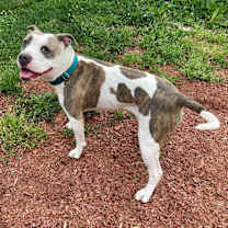 Thumbnail photo of Winnie #3