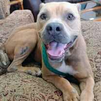 Thumbnail photo of Tank #1