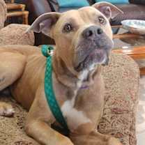 Thumbnail photo of Tank #2