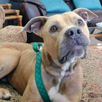 Thumbnail photo of Tank #3