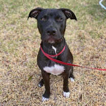 Thumbnail photo of Parker #2