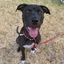 Thumbnail photo of Parker #3