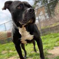 Thumbnail photo of Atlas #2