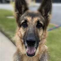 Thumbnail photo of Dottie #1