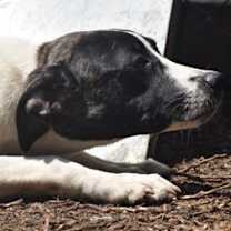 Thumbnail photo of Beatrice #2