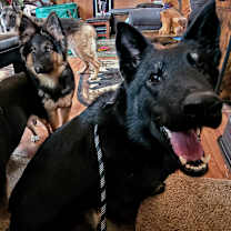 Thumbnail photo of Johnny #4