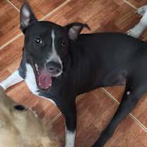 Thumbnail photo of Violet #2