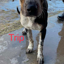 Thumbnail photo of Trip #2