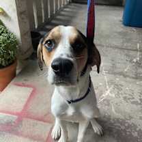 Thumbnail photo of Ogden #2