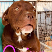 Thumbnail photo of Quinn #4