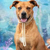 Thumbnail photo of Summer #1