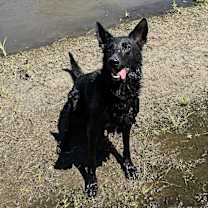 Thumbnail photo of Vader #1