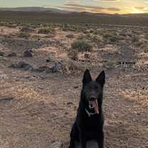 Thumbnail photo of Vader #2