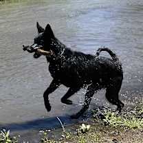 Thumbnail photo of Vader #3