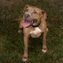 Thumbnail photo of Ricky #1