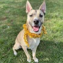 Thumbnail photo of Kyle #1