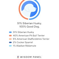 Thumbnail photo of Kyle #2