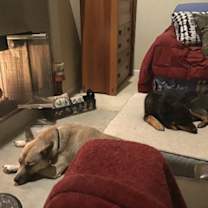 Thumbnail photo of Kyle #3