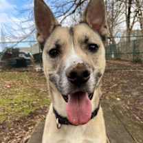 Thumbnail photo of Kyle #4