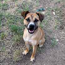 Thumbnail photo of Kashi #1