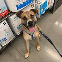 Thumbnail photo of Kashi #2