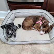 Thumbnail photo of Sundae #3