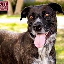 Thumbnail photo of Clover #2