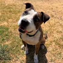 Thumbnail photo of Lola Patino #4