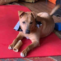 Thumbnail photo of Blaise Benson #1