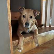 Thumbnail photo of Blaise Benson #2