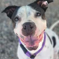 Thumbnail photo of KiKi #1
