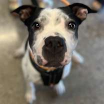 Thumbnail photo of KiKi #2