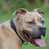 Thumbnail photo of Miller #3