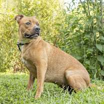 Thumbnail photo of Cassie - so SWEET #1