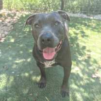 Thumbnail photo of Thaddeus #1