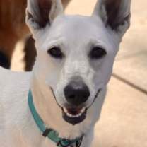 Thumbnail photo of Gracie Mae #3