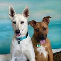 Thumbnail photo of Gracie Mae #4