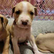 Thumbnail photo of Timmy #2