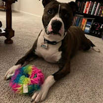 Thumbnail photo of Jamison #1