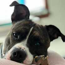 Thumbnail photo of Jamison #2